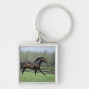 Search for thoroughbred horse key rings Animal