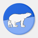 Search for cub magnets Snow