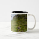 Search for landforms mugs Atlantic ocean