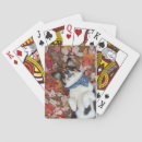 Search for corgi playing cards Funny