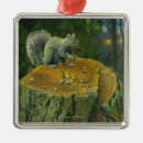 Search for press christmas tree decorations States