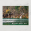 Search for plitvice lakes postcards Forest