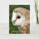 Search for barn owl cards Wild