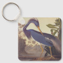 Search for heron key rings Great blue heron