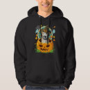 Search for halloween witch hoodies Pumpkin