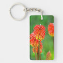 Search for western cape key rings Gallo images