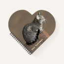 Search for tabby cat notebooks Grey