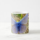 Search for common blue mugs Nature