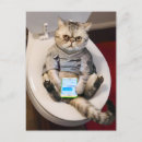 Search for toilet invitations Cute