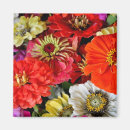 Search for dahlia magnets Garden