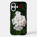 Search for carnations iphone cases Flowers