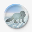 Search for arctic fox plates Wildlife