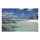 Search for maya printed art Island