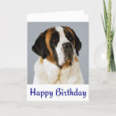 Search for st bernard cards Saint bernard puppy