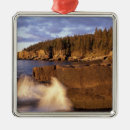 Search for maine christmas tree decorations Acadia national park