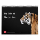 Search for big cat calendars Animal