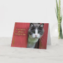 Search for apology cards invites Please forgive me