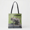 Search for squirrel photo bags Squirrels