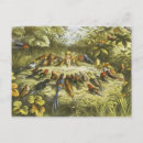 Search for doyle postcards Fairy