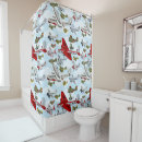 Search for airplane shower curtains Pattern