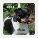 Search for rat terrier christmas tree decorations Animal