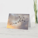 Search for cancer treatment cards Radiation