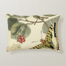 Search for dragonfly cushions Butterfly