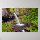 Search for columbia gorge posters Forest