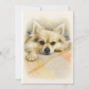 Search for pomeranian cards Dog lover