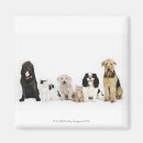 Search for dog portrait magnets Animals
