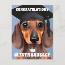 Search for sausage dog postcards Cute