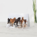 Search for scandinavia cards Snow