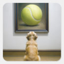 Search for paint ball stickers Sports