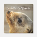Search for marine life magnets Wildlife