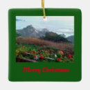Search for california christmas tree decorations Beach