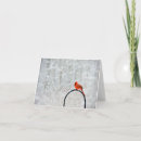 Search for cardinal horizontal note cards Animal