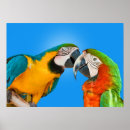 Search for romance love art Birds