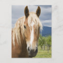 Search for light body postcards Animal body part