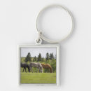 Search for calgary key rings Nature