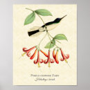 Search for natural history art Vintage