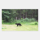 Search for daddy bear stickers For him