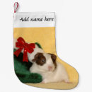 Search for guinea pig christmas decor Red