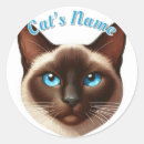 Search for siamese cat stickers Kitten
