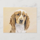 Search for springer postcards Puppy