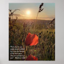 Search for poppy posters Nature