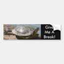 Search for turtles bumper stickers Wildlife