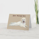 Search for white poodle cards Poodles