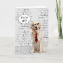 Search for 84th birthday cards Humour