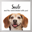 Search for cute and funny animal pictures posters Pet