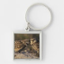 Search for burrow key rings Wildlife